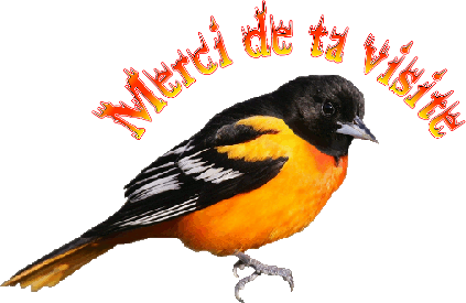 merci pour ta visite