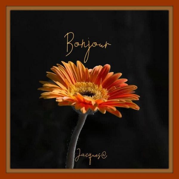 pepita-07